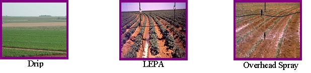Three images: left illustrates Drip, center illustrates LEPA, right illustrates Overhead Spray