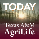Registration opens for 70th annual Texas A&M Beef Cattle Short Course
